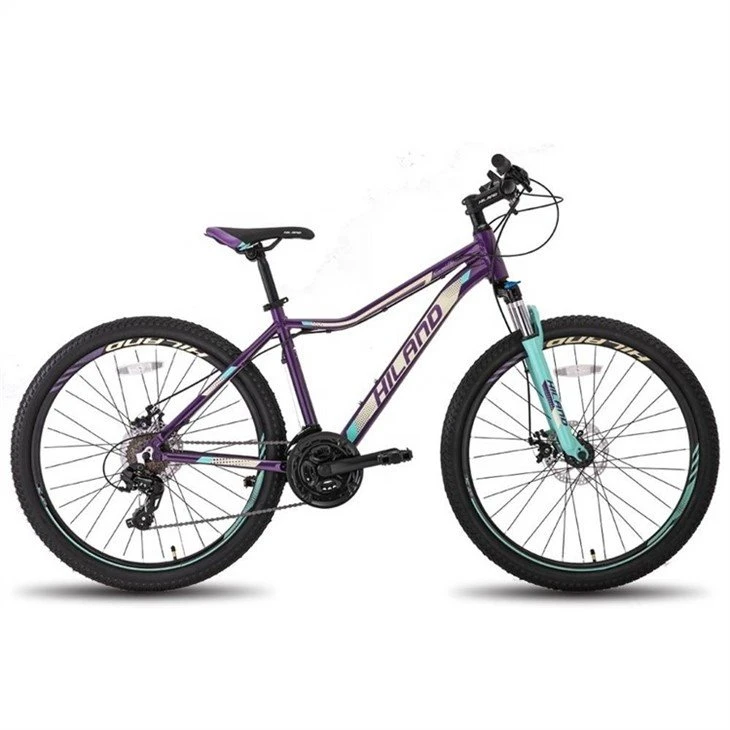 China Hardtail Mountain Bike factory