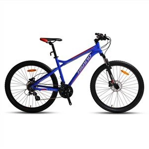 Slinjenje 24 Speed Mountain Bike