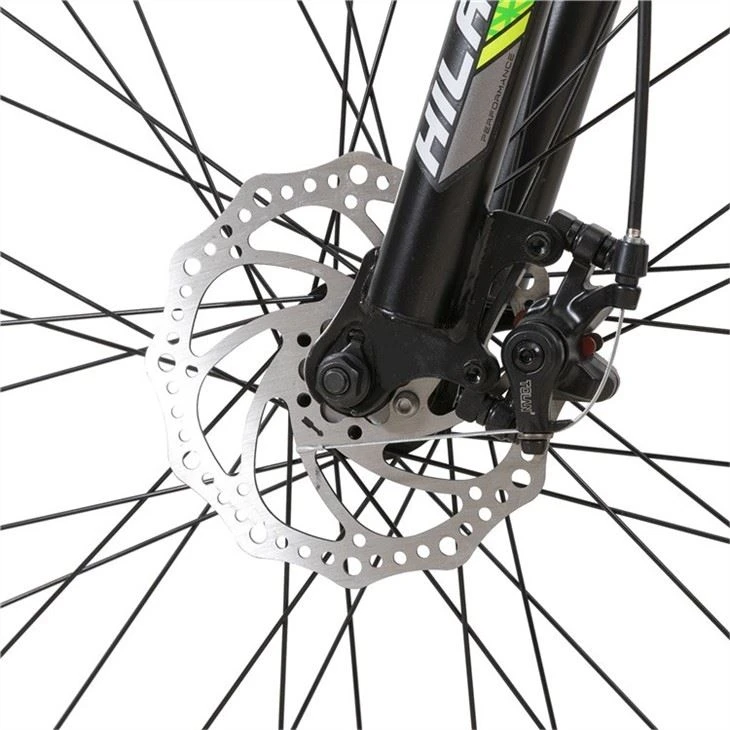 Customized Hardtail Mountain Bike