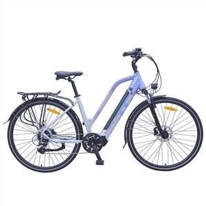 Cate Center Motor City Ebike