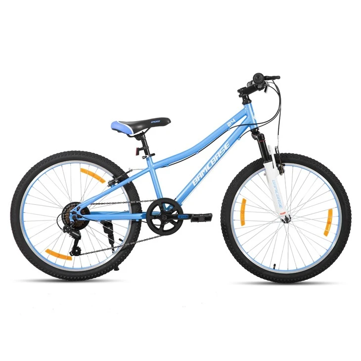 JOYKIE HILAND High Quality 24 Inch 7 Speeds Steel Double V- Brake Mountain Bike Bicycle For Adult suppliers