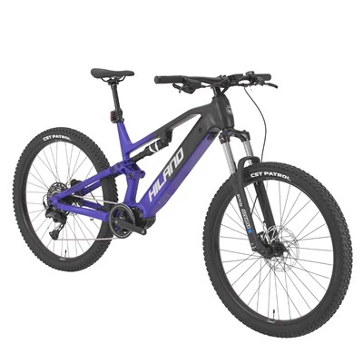 29" aluminijski okvir E-Mtb