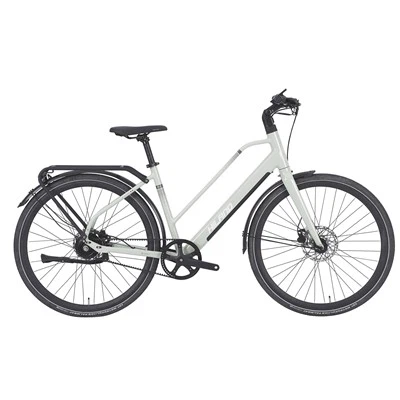 36V360WH ALLOY Road Hog električni bicikl CITY E-BIKE