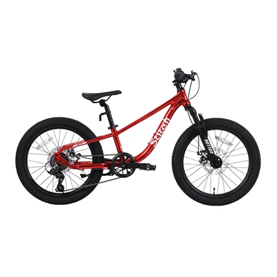 Modni popularni MTB Kids Bike Mountain Bicycle Shock Fork za OFF - Cesta 7 brzina zupčanika s kočnicama